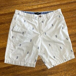 Banana Republic Men’s Pineapple Print Shorts Size 33